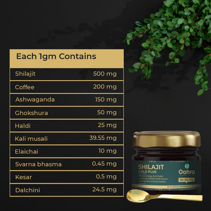 Shilajit